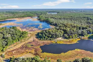 11400 SE 185th Terrace, Ocklawaha, FL 32179 - Photo 55