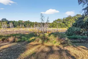 11400 SE 185th Terrace, Ocklawaha, FL 32179 - Photo 45