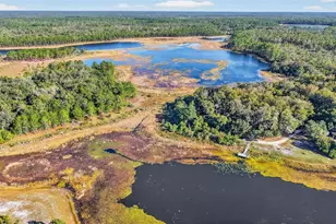 11400 SE 185th Terrace, Ocklawaha, FL 32179 - Photo 53