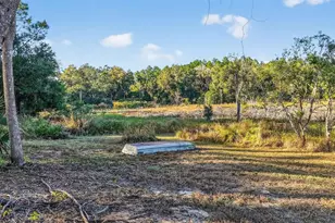 11400 SE 185th Terrace, Ocklawaha, FL 32179 - Photo 47
