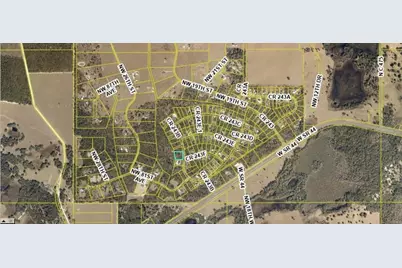 Tbd Cr 243B, Wildwood, FL 34785 - Photo 3