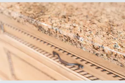 19811 Lake Dorr Road, Altoona, FL 32702 - Photo 15