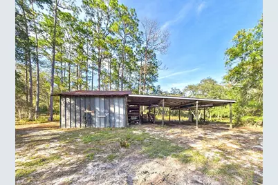 9151 SE 196th Avenue, Ocklawaha, FL 32179 - Photo 13