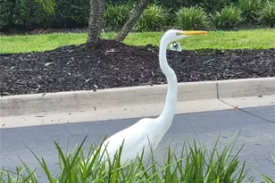 4712 Belle Grove, Leesburg, FL 34748 - Photo 73