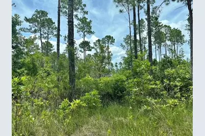 116 SW 1st Avenue, Palatka, FL 32177 - Photo 1