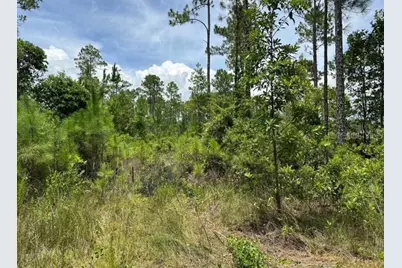 116 SW 1st Avenue, Palatka, FL 32177 - Photo 3