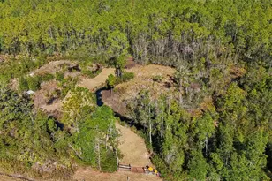 NE 212th St, Fort Mc Coy, FL 32134 - Photo 1