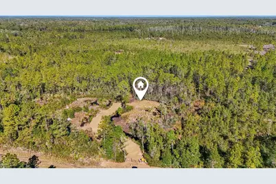 Ne 212th Street, Fort Mc Coy, FL 32134 - Photo 3