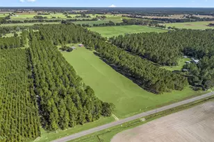 1231 NW 120th St, Chiefland, FL 32626 - Photo 75