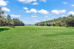 1231 NW 120th St, Chiefland, FL 32626 - Photo 69