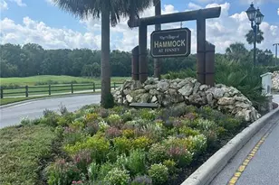 5617 Stricklin St, The Villages, FL 32163 - Photo 69