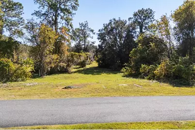 Lot 30 Trotting Horse Ln, Tavares, FL 32778 - Photo 7