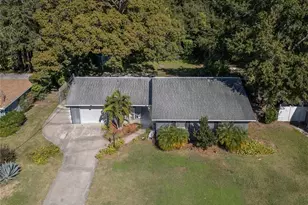 4221 Lake Eleanor Dr, Mount Dora, FL 32757 - Photo 5