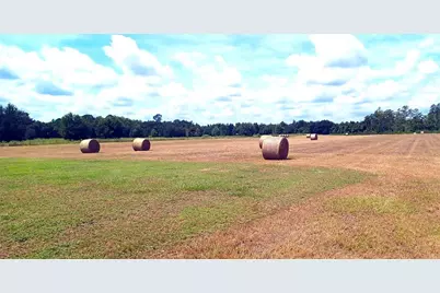 13832 Bay Lake Road, Groveland, FL 34736 - Photo 51