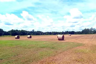 13832 Bay Lake Rd, Groveland, FL 34736 - Photo 51