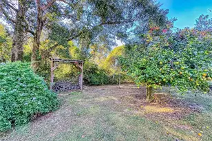 3851 Thistlewood Way, Okahumpka, FL 34762 - Photo 55