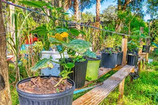 3851 Thistlewood Way, Okahumpka, FL 34762 - Photo 83