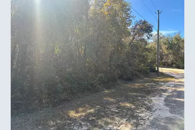 15470 Cave Swallow Road, Brooksville, FL 34614 - Photo 1