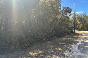 15470 Cave Swallow Rd, Brooksville, FL 34614 - Photo 1