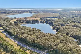 13400 Co Rd 450, Umatilla, FL 32784 - Photo 43