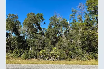 Lot 11 Tulip Avenue, Eustis, FL 32736 - Photo 5
