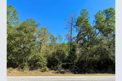 Lot 11 Tulip Avenue, Eustis, FL 32736 - Photo 11