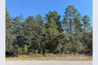 Lot 11 Tulip Avenue, Eustis, FL 32736 - Photo 9