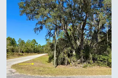 Lot 11 Tulip Avenue, Eustis, FL 32736 - Photo 1