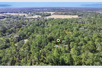 17059 N Highway 329, Reddick, FL 32686 - Photo 47