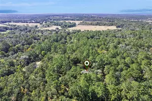 17059 N Hwy 329, Reddick, FL 32686 - Photo 47