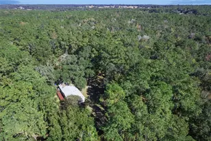 17059 N Hwy 329, Reddick, FL 32686 - Photo 43