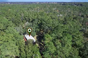 17059 N Hwy 329, Reddick, FL 32686 - Photo 49