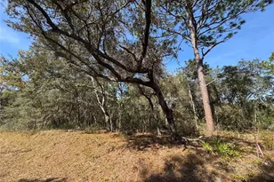 SE 115 Pl Rd, Ocklawaha, FL 32179 - Photo 1