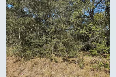 Se 115 Place Road, Ocklawaha, FL 32179 - Photo 3