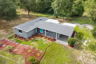 4123 Co Rd 124, Wildwood, FL 34785 - Photo 3