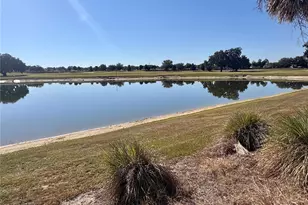 1052 Jackson St, The Villages, FL 32162 - Photo 9