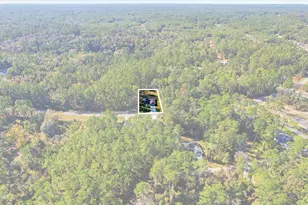 9802 N Athenia Dr, Citrus Springs, FL 34434 - Photo 41