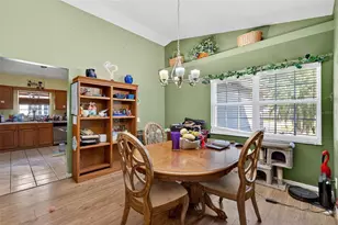 40007 Parkinsonia St, Lady Lake, FL 32159 - Photo 9