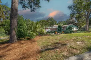 1438 Crestview Dr, Mount Dora, FL 32757 - Photo 3