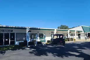 2 Grove Trail, Wildwood, FL 34785 - Photo 41