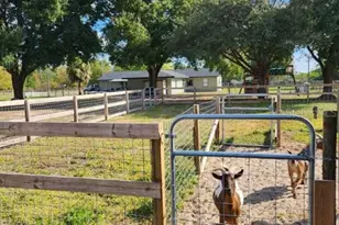 37445 Grays Airport Rd, Lady Lake, FL 32159 - Photo 25