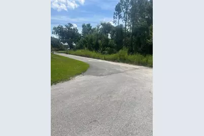 W Herrick Avenue, Eustis, FL 32726 - Photo 3