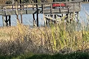 410 E Orchid Way, Howey in the Hills, FL 34737 - Photo 69