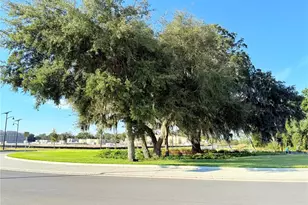 1204 Port Blue Wy, Lady Lake, FL 32159 - Photo 41