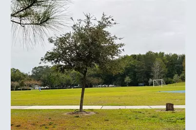 3343 Wolf Run Road, Mount Dora, FL 32757 - Photo 37