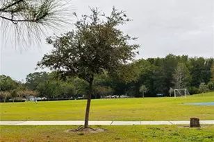 3343 Wolf Run Rd, Mount Dora, FL 32757 - Photo 37