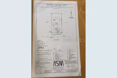 3343 Wolf Run Road, Mount Dora, FL 32757 - Photo 35