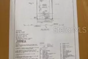 3343 Wolf Run Rd, Mount Dora, FL 32757 - Photo 35