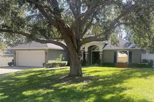 2234 Lake Pointe Cir, Leesburg, FL 34748 - Photo 3