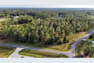 24325 Deep Springs Loop, Eustis, FL 32736 - Photo 17